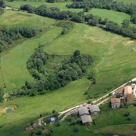Agriturismo Campo Antico ξενώνας Orte Εξωτερικό φωτογραφία