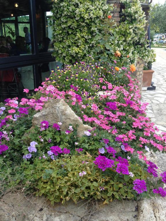 Agriturismo Campo Antico ξενώνας Orte Εξωτερικό φωτογραφία
